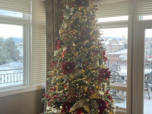 Colorado Mountain View Christmas